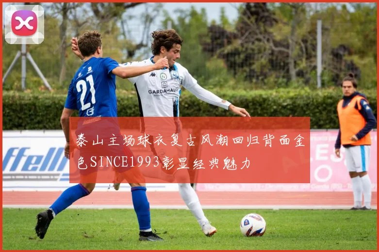 泰山主场球衣复古风潮回归背面金色SINCE1993彰显经典魅力